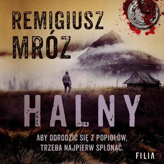 Mróz Remigiusz -  F6 Halny - Mróz Remigiusz - Halny czyta Krzysztof Gosztyła1.jpg