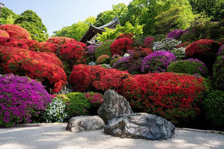 w ogrodzie w parku - japan-garden-stone.jpg