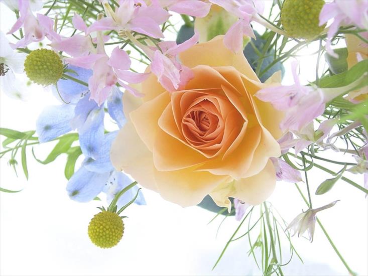 JPG - Flowers -  a spring bouquet with a rose.jpg