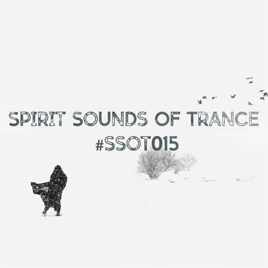 2023 - VA - Spirit Sounds of Trance 015 CBR 320 - VA - Spirit Sounds of Trance 015 - Front.png